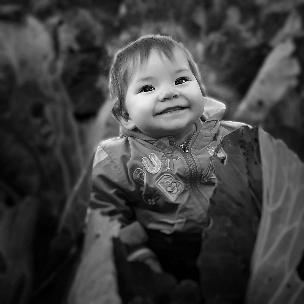 Фотография автора Максим Тарасюк