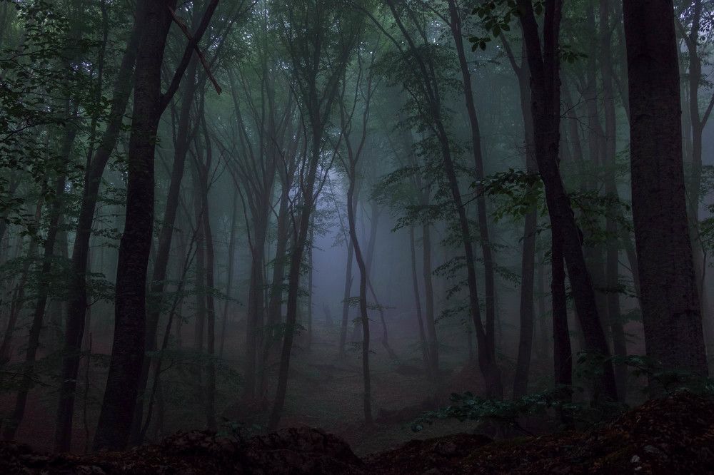 Photograph by Ольга