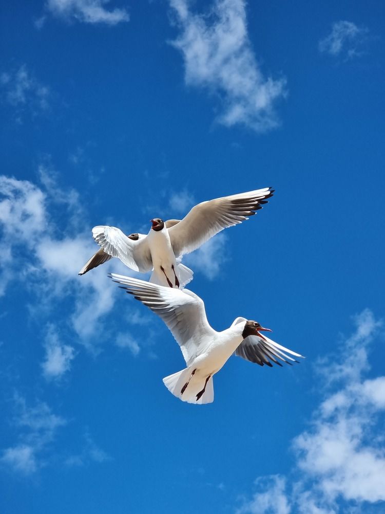 Photograph by Дмитрий Далингер