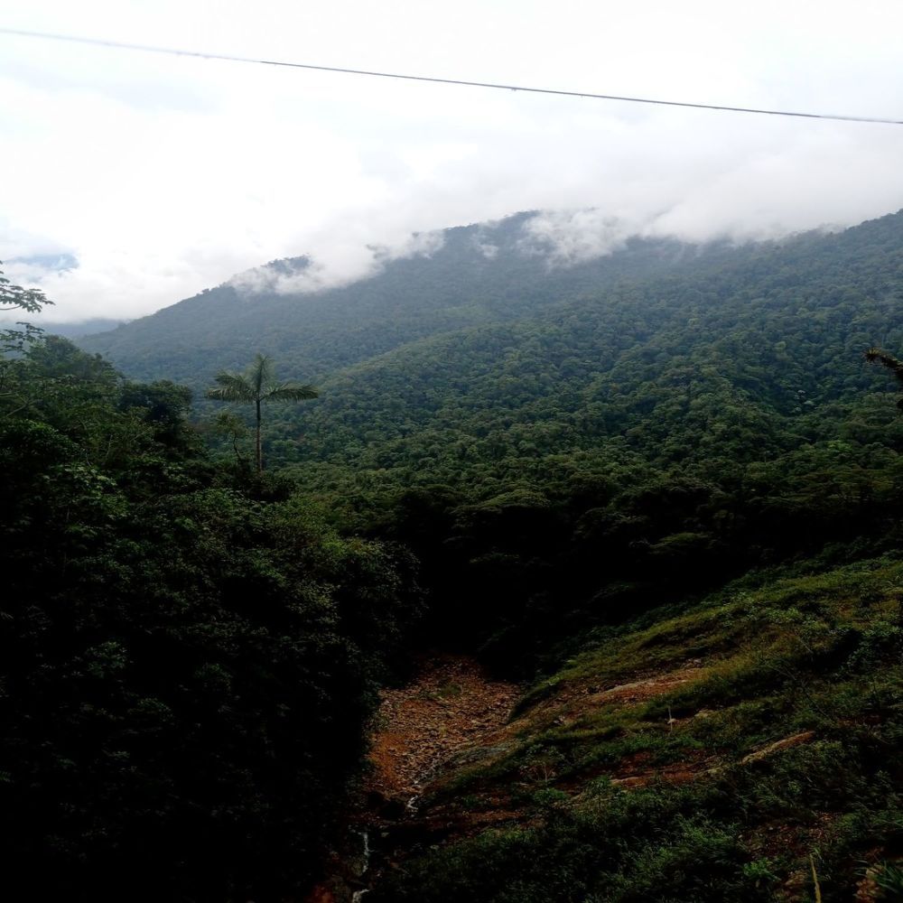 Photograph by Luis Alfredo Morales Torres