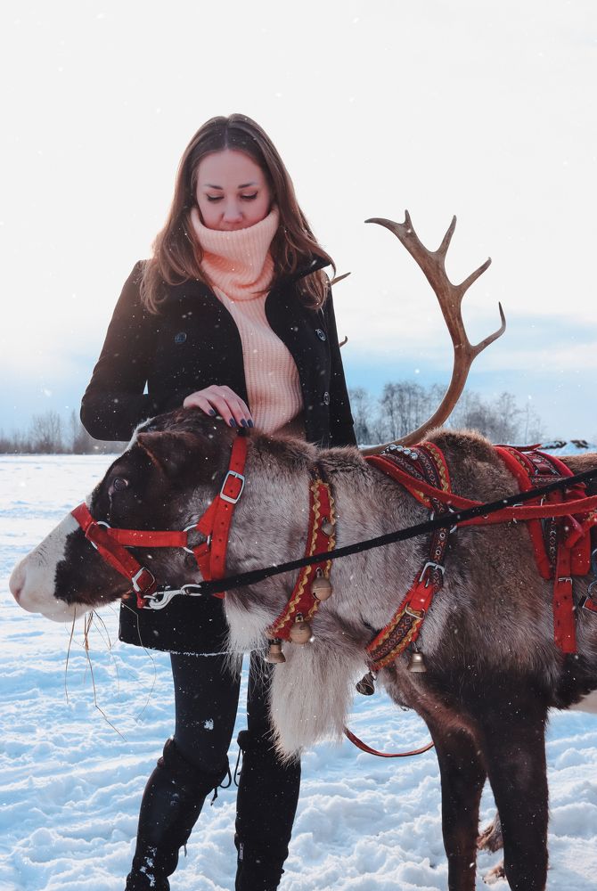 Photograph by Алина Логвиненко