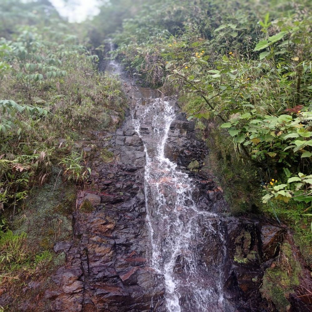 Photograph by Luis Alfredo Morales Torres