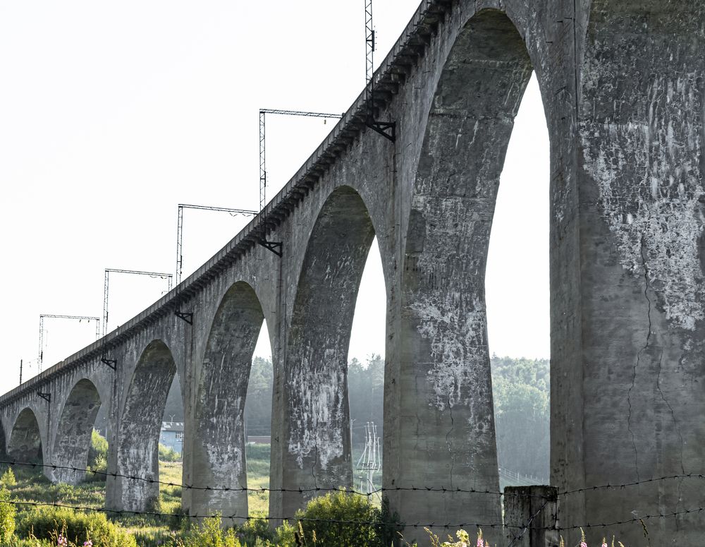 Фотография автора Анна Хабарова