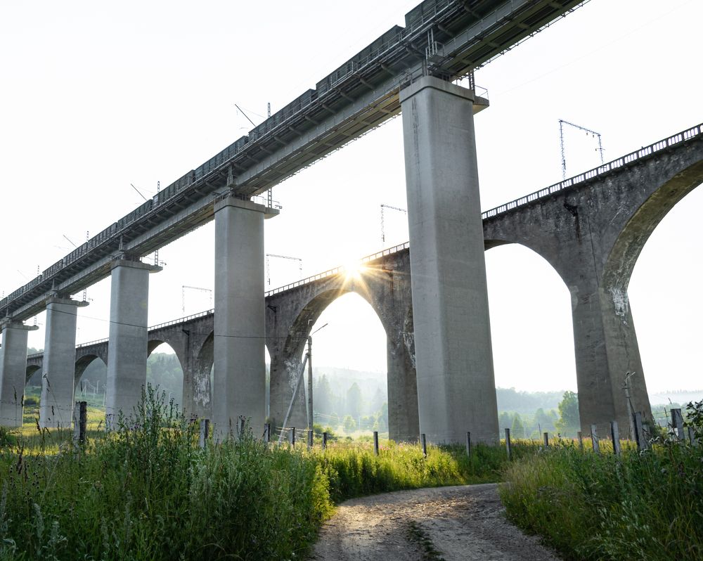 Фотография автора Анна Хабарова