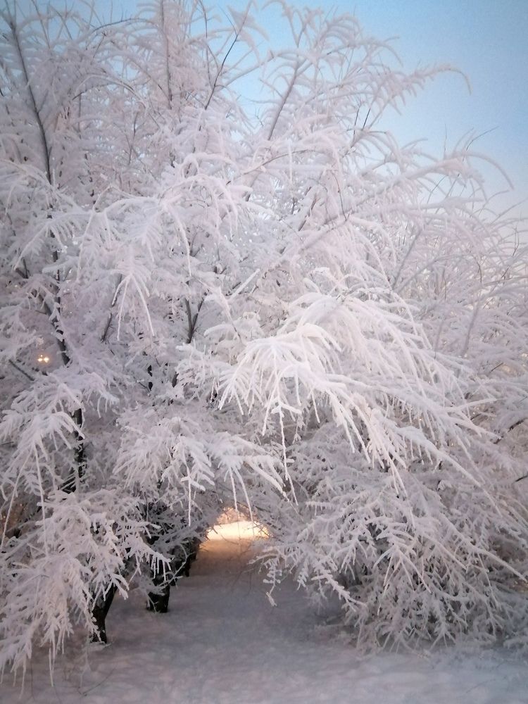 Photograph by Светлана Веселовская