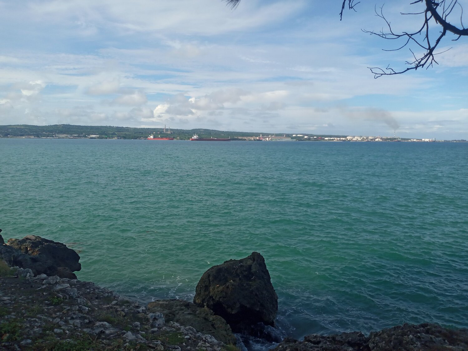 Photo #6880588