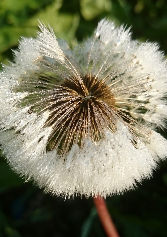 Photograph by Larissa Lvova