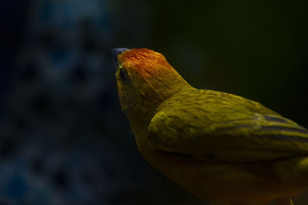 Photograph by Carla Salanova