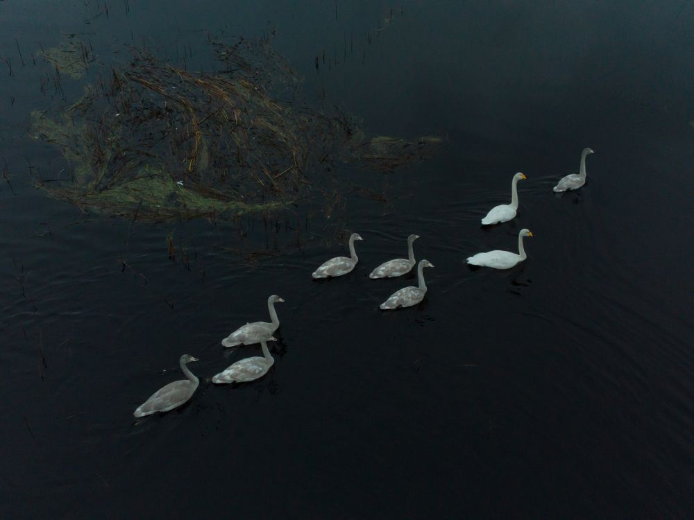 Photograph by Дмитрий Далингер