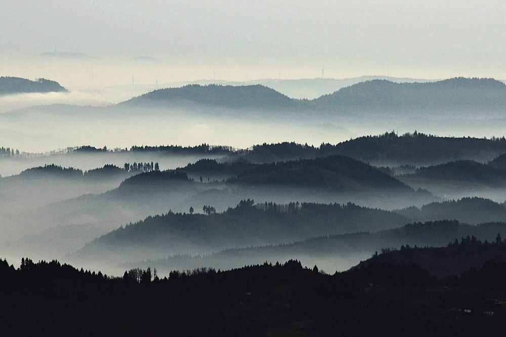 Photograph by 