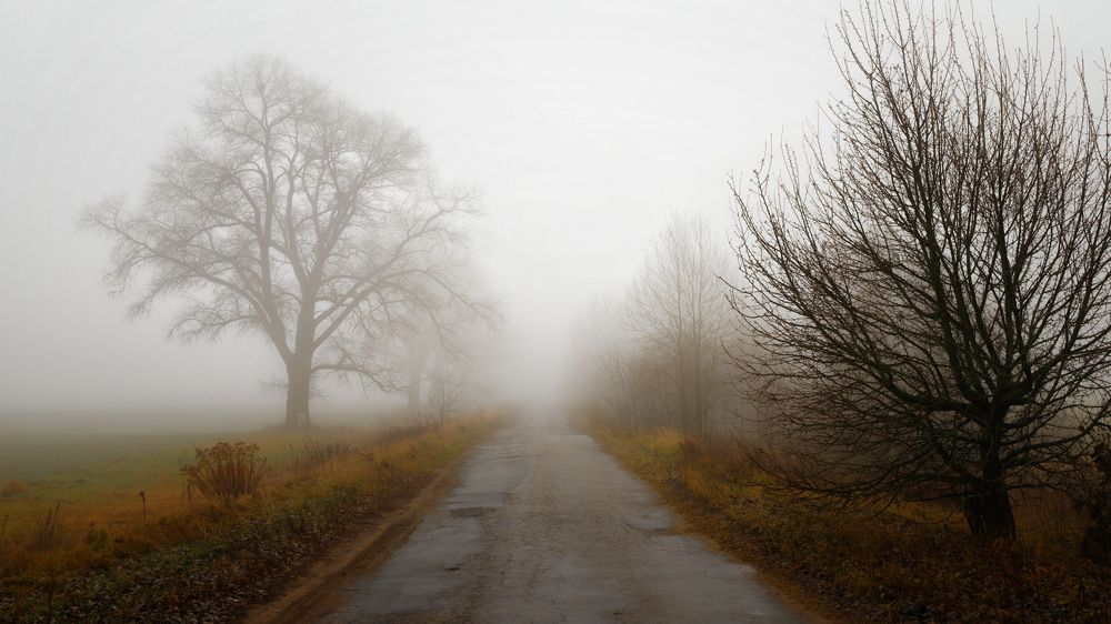 Photograph by Иван Симута