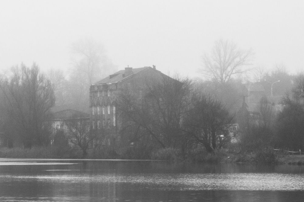 Photograph by Надежда Зайцева