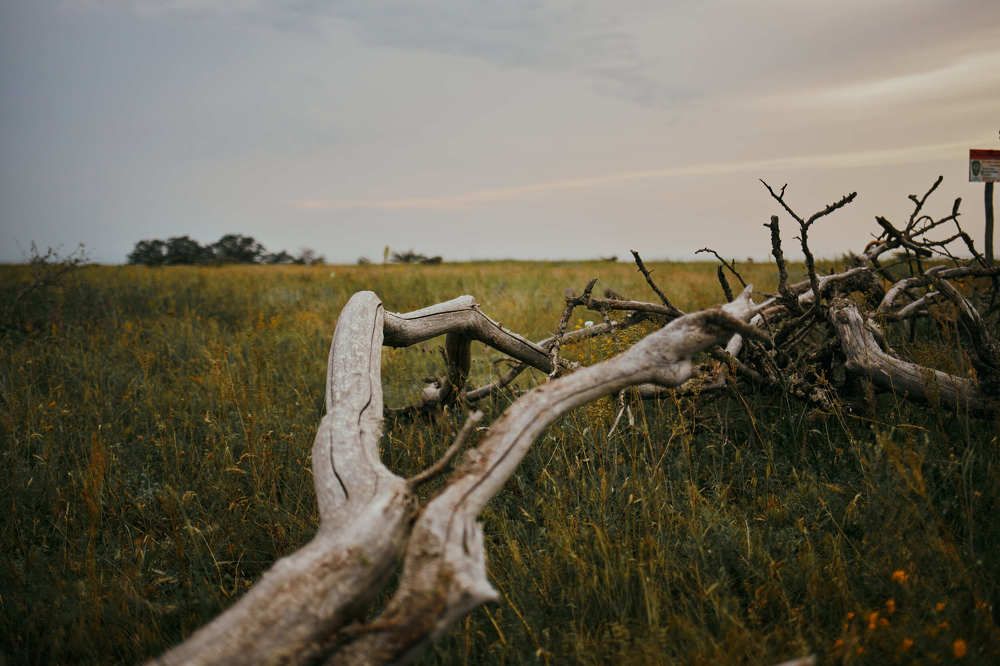 Photograph by Екатерина Гилина