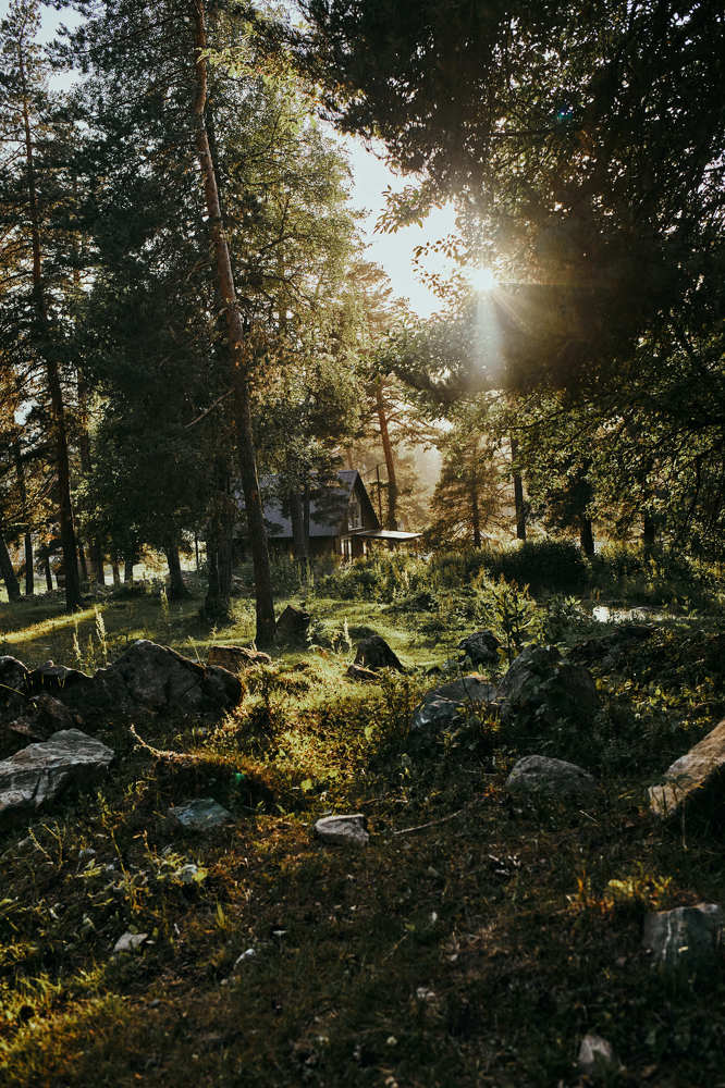 Photograph by Екатерина Гилина