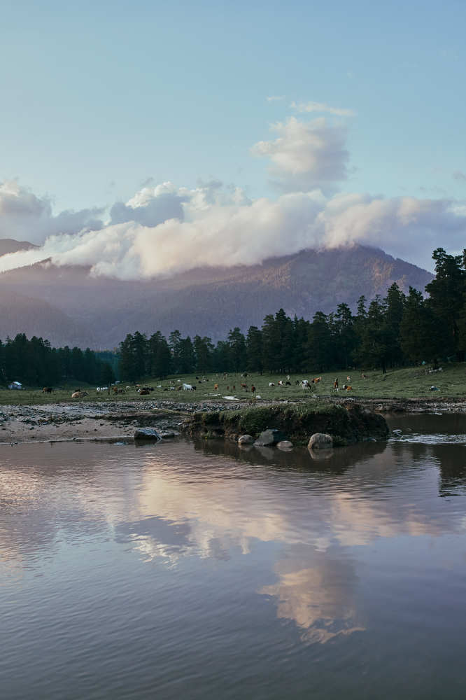 Photograph by Екатерина Гилина