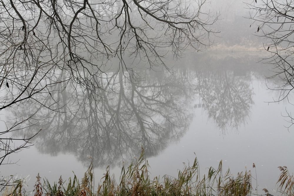 Photograph by Алфия Бугакова