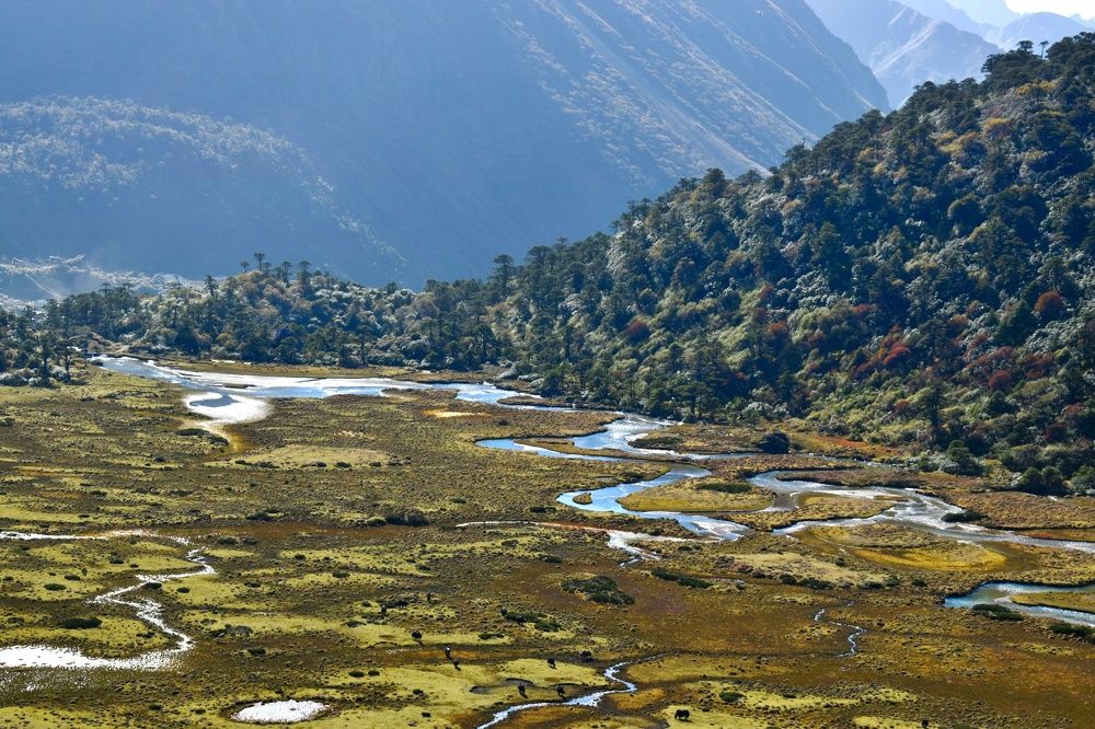 The meanders of Teesta