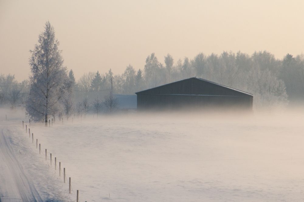 Photograph by Guntars