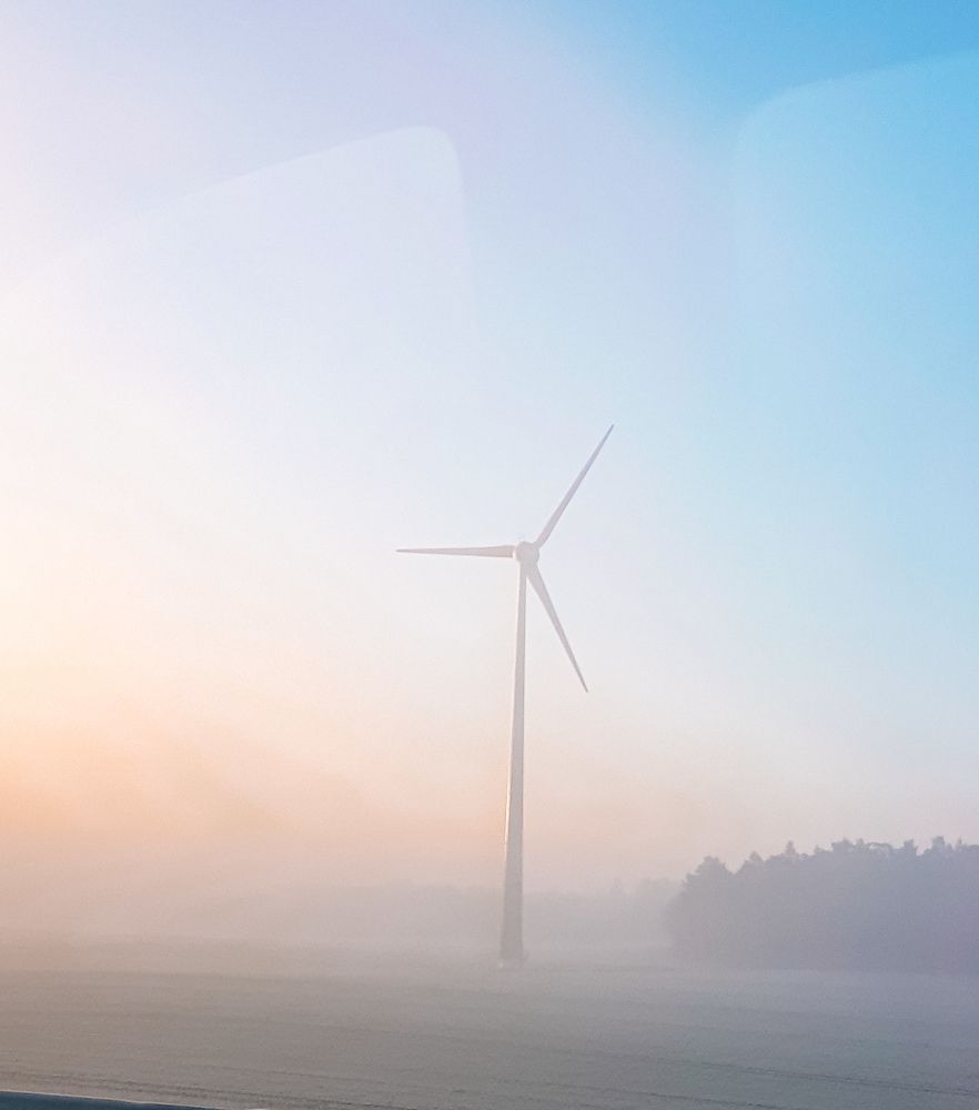 Фотография автора Cozma Mihaela