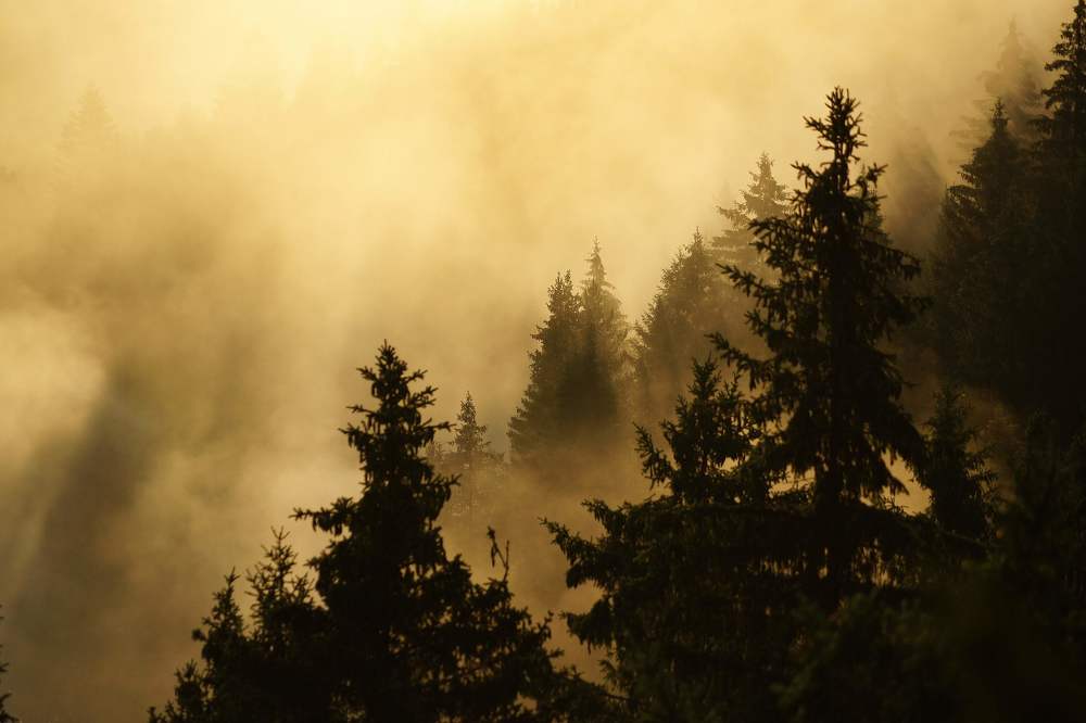 Photograph by Светлана Лехмус