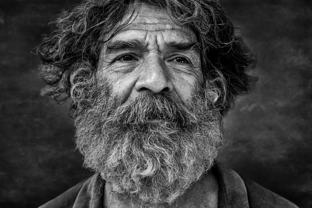 Photograph by Morteza