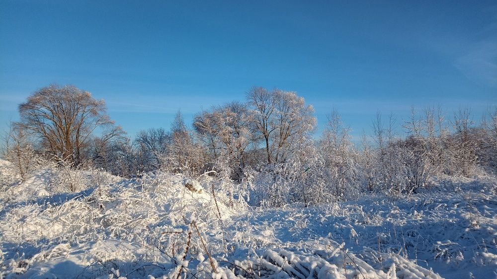 Photograph by Константин