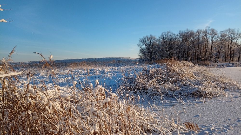 Photograph by Константин