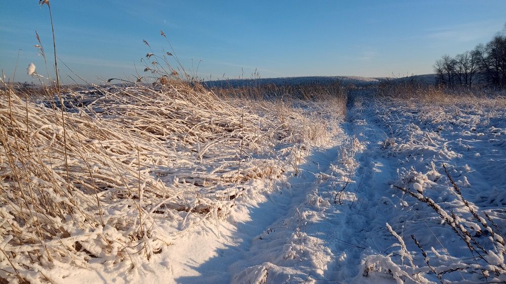 Photograph by Константин