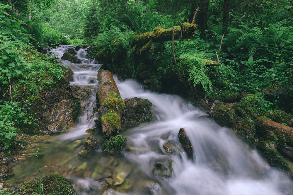 Photograph by Ярослав Тюрменко (Jaremi)