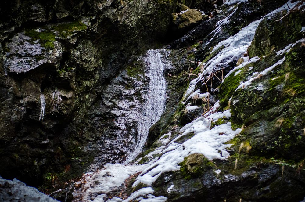 Photograph by Radu Constantinescu