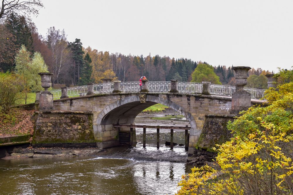 Photograph by Дмитрий Петров