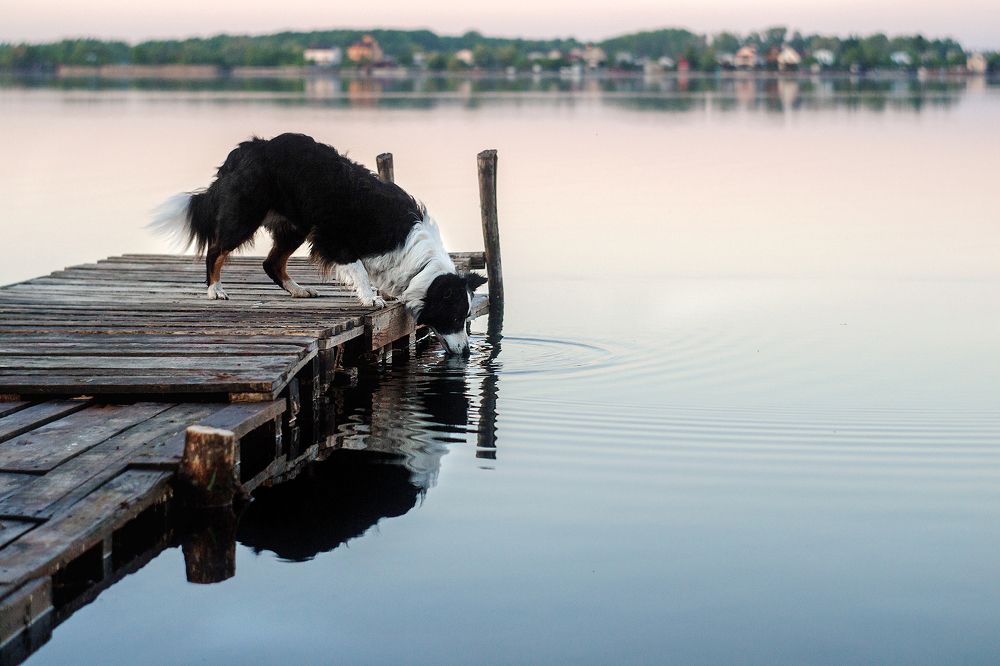 Photograph by Екатерина Кикоть