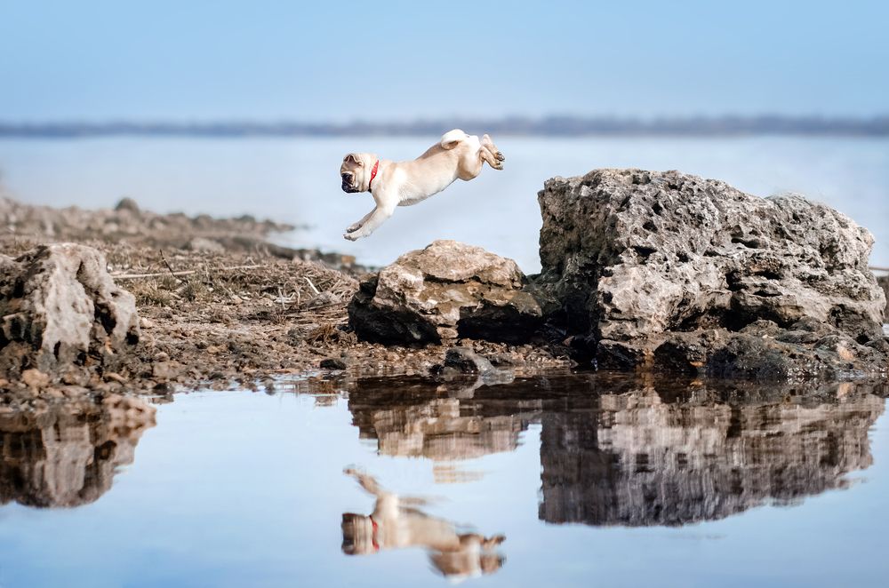 Photograph by Екатерина Кикоть