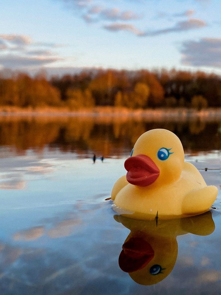 Photograph by Дарья Мицкевич