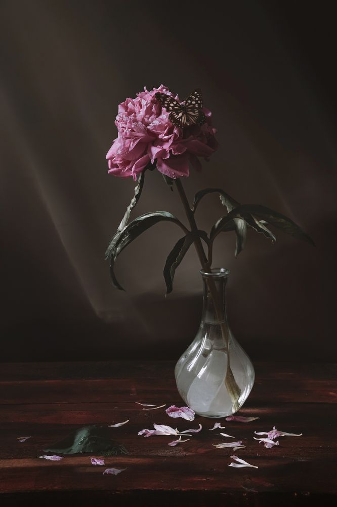 Photograph by Леся Костарева