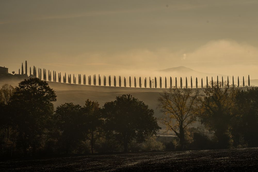 Фотография автора Нина Кулишова