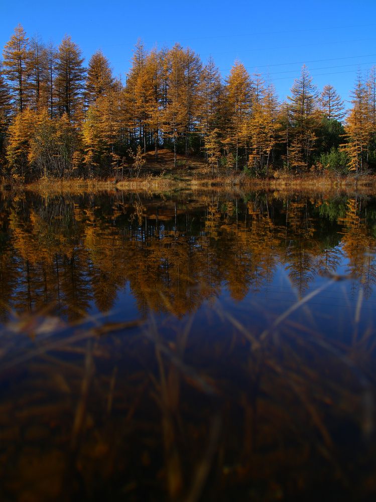 Photograph by Никита Серебряков