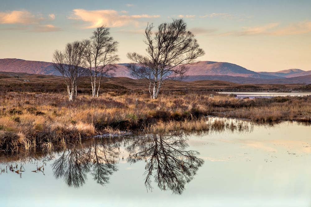 Photograph by Maja Bet