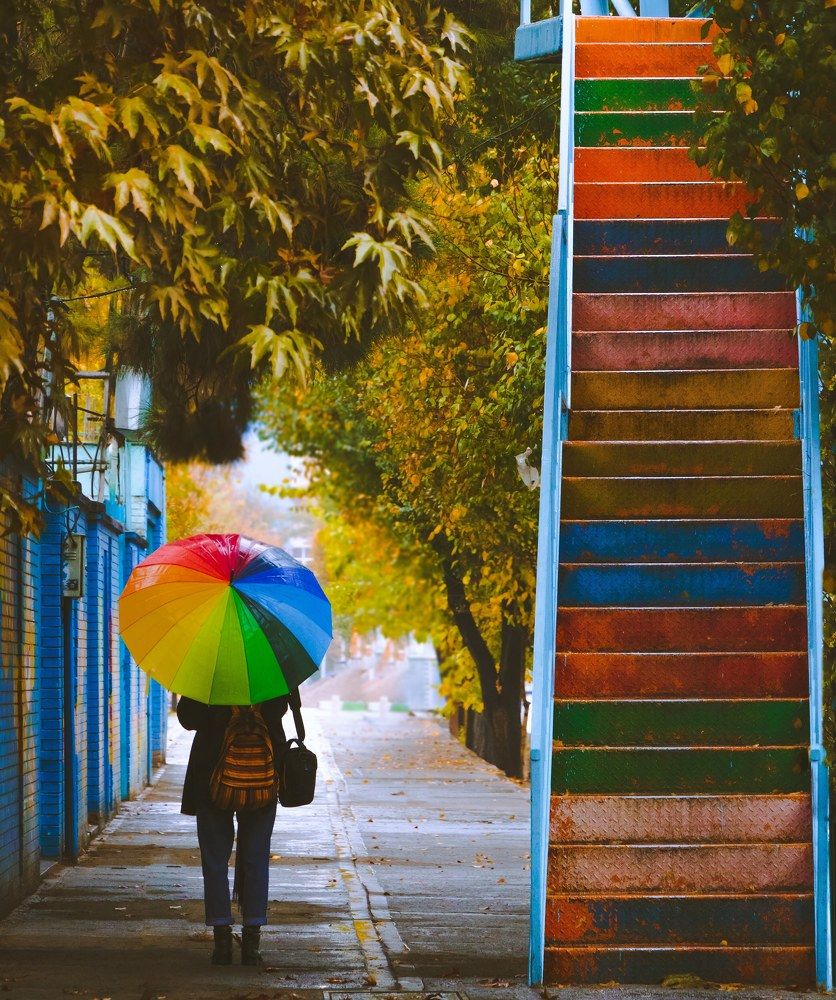 Photograph by Alireza Khoddam