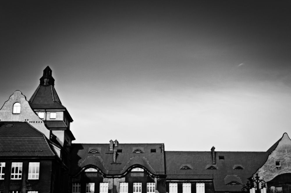 Photograph by Juan Pajaro Velasquez