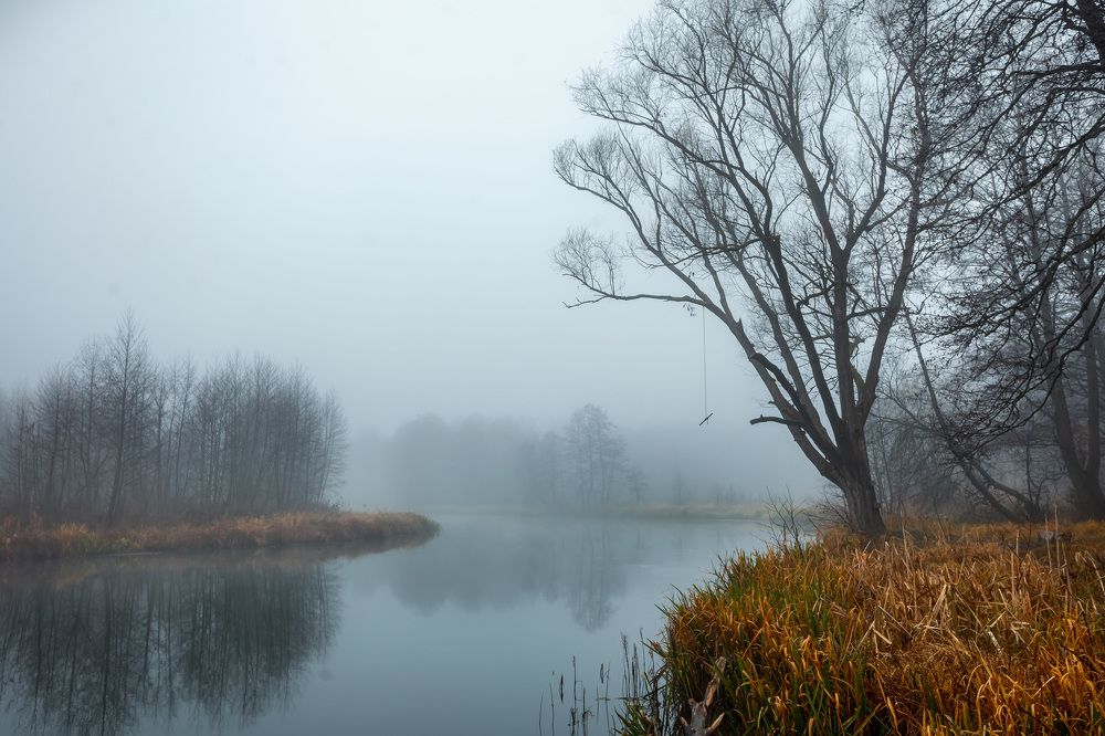 Photograph by Дмитрий Сдобин