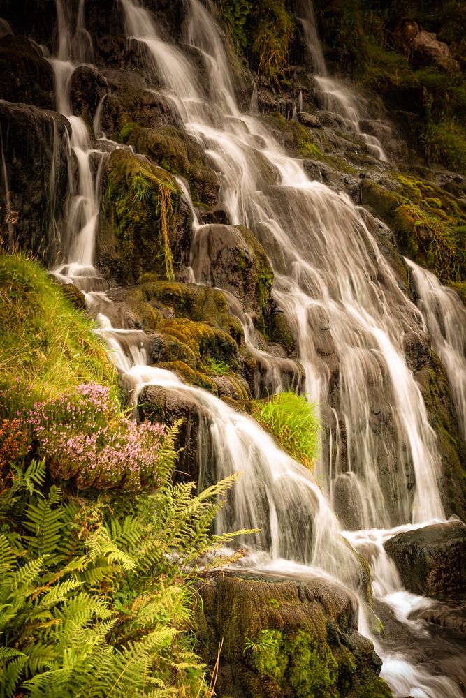 Photograph by Maja Bet