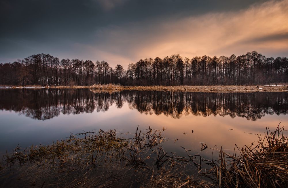 Photograph by Дмитрий Сдобин