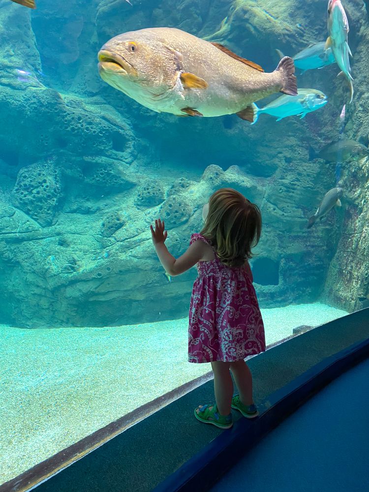 Photograph by Оксана Старостина