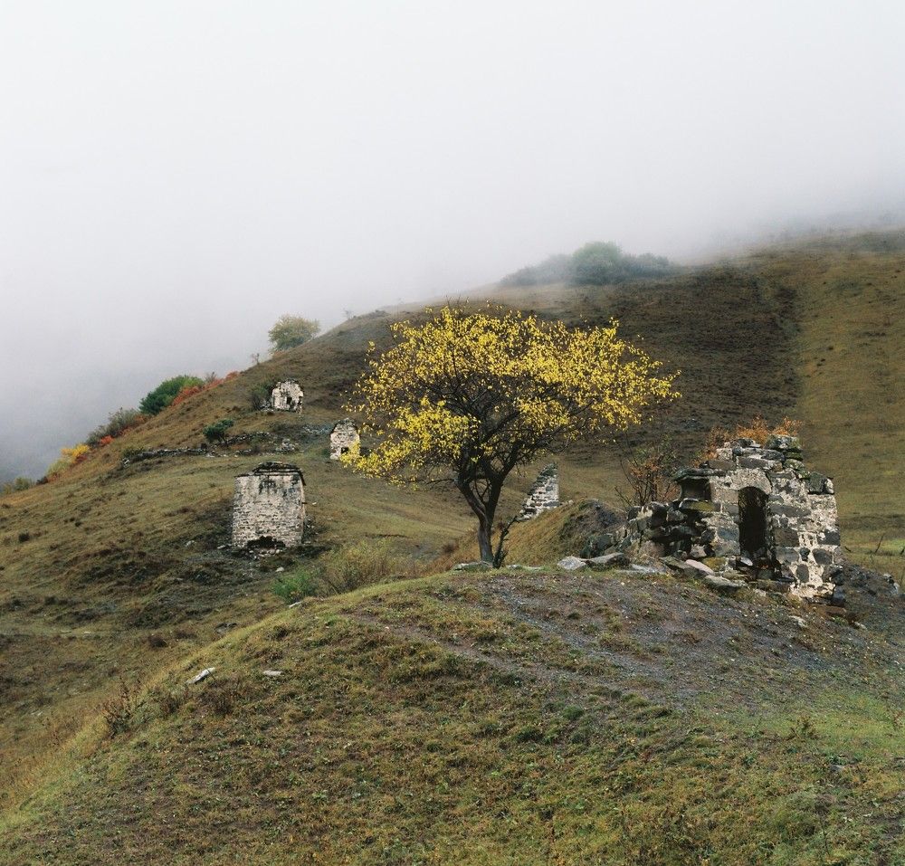 Photograph by Валерий Егоров