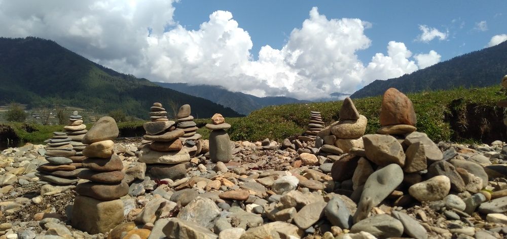 Photo #6881502