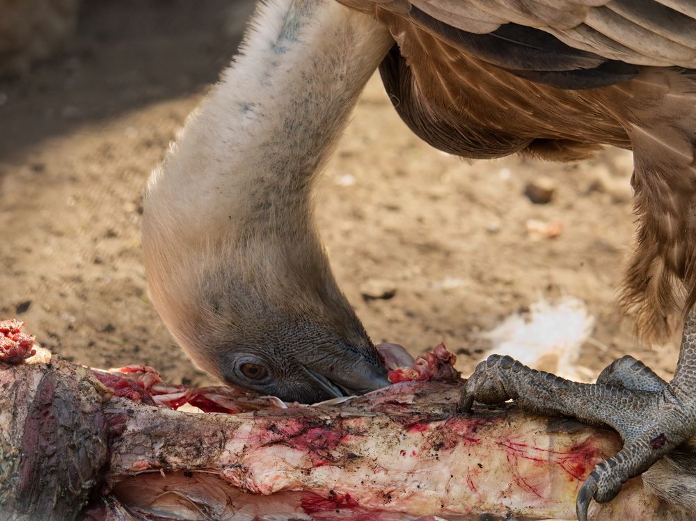 Photograph by Marko Stoickov