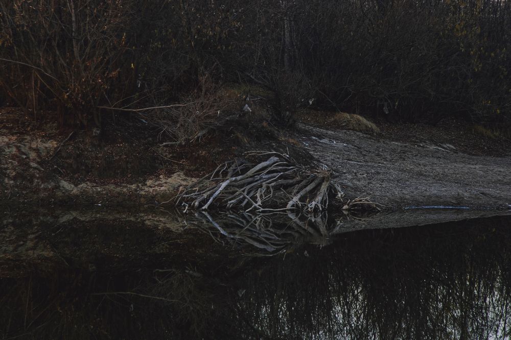 Photograph by Никита Соловьев