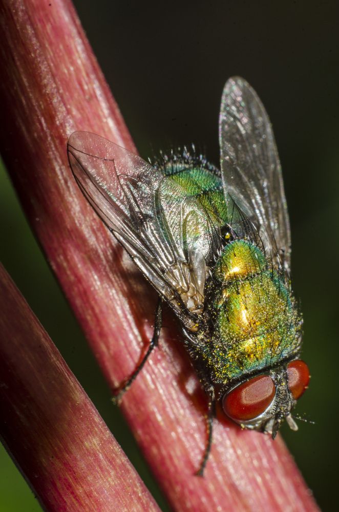 Photograph by Александр Леонов