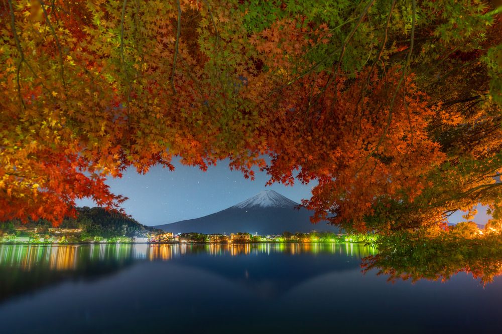 Фотография автора Lương Quyền